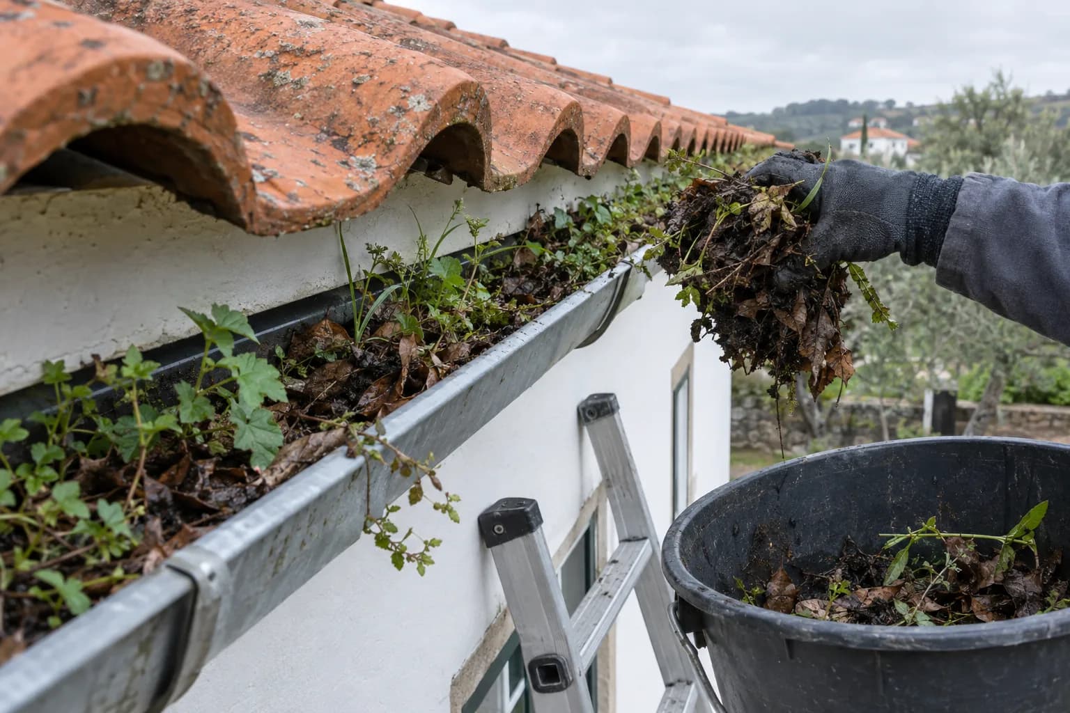 Mão de luva a retirar folhas e terra de uma caleira de zinco junto ao beiral de uma casa, com uma escada encostada à parede