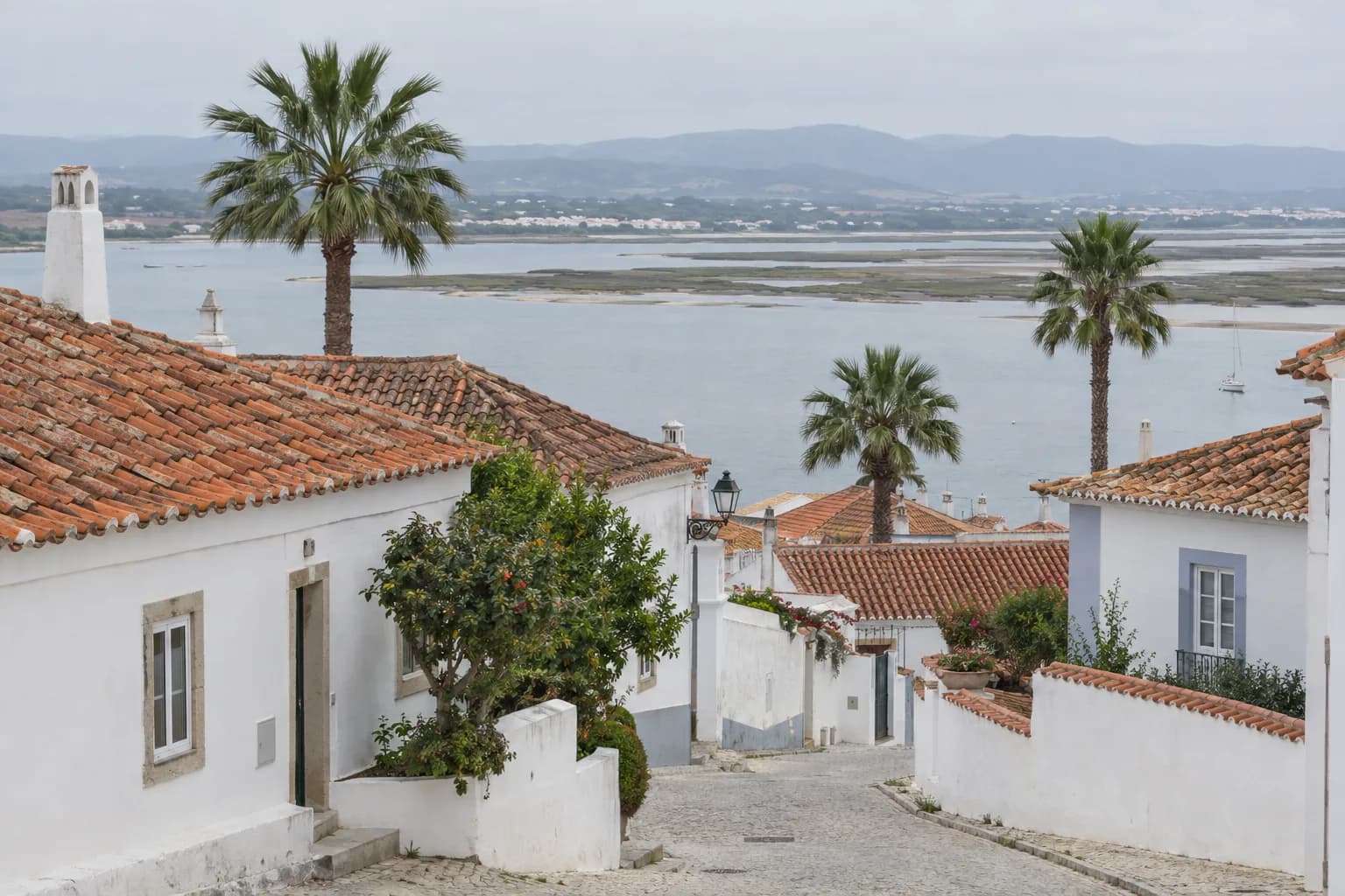 Casas baixas rendidas com telhados de telha cerâmica numa vila junto a um estuário